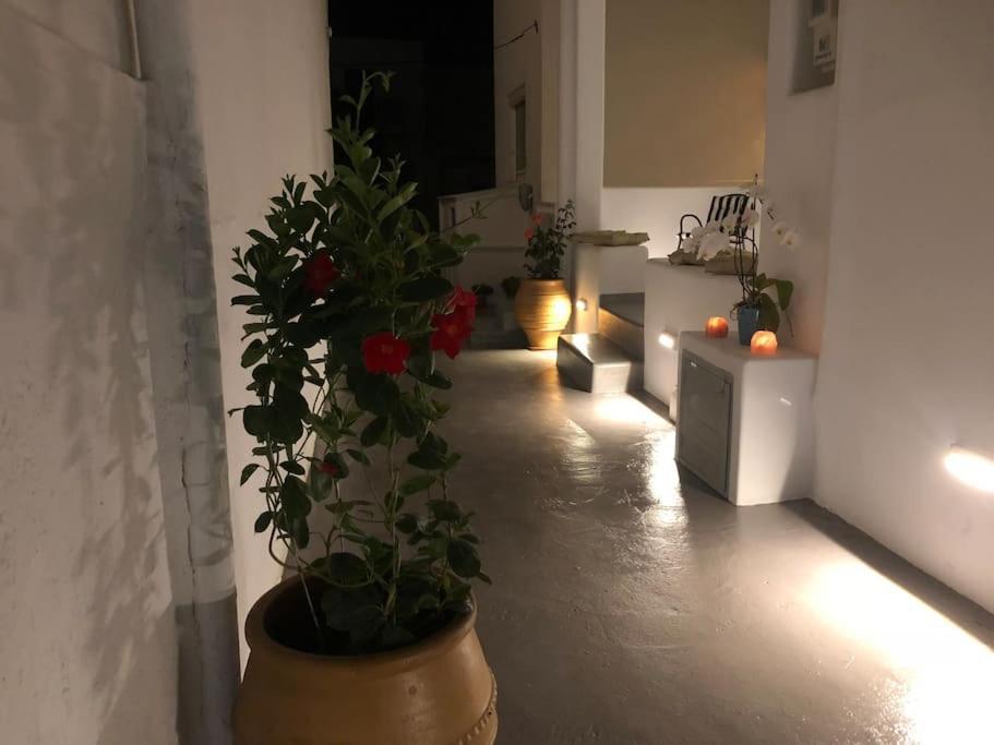 Mare Bay Apartment Adamantas  Exterior photo
